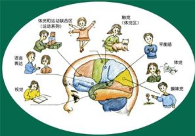 沈阳特殊教育机构特需儿童康复服务参考指南(图1)